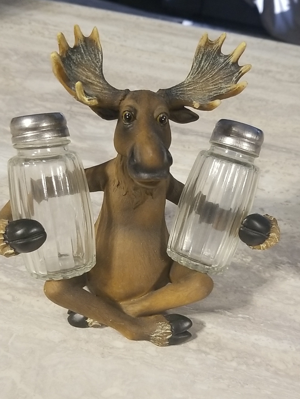 Moose Salt & Pepper Shaker Holder